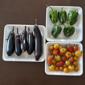 家庭菜園で収穫したミニトマト、ナス、ピーマン